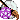 Strega Magistra