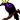 Arconte dellAde (VAMPIRI)